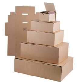 Boîtes postales écrues 280x220x80 (mm)