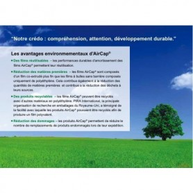 Film Bulles Aircap® CL 50x100 (cm x m)