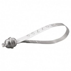 Scellé métallique Tyden® GRIS