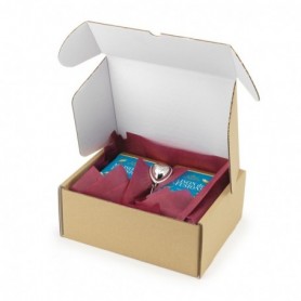 Boîte carton avec fermeture renforcée intérieur blanc 250 X 200 x 100