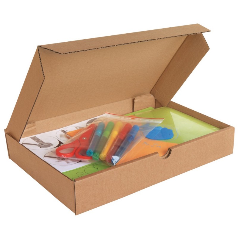Boîte carton extra-plate 500 x 350 x 50mm