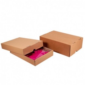 Caisse carton télescopique 305 x 215 x 50-90mm