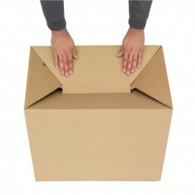 Caisse carton multi-usages à poignées 550 x 350 x 300mm
