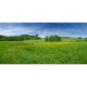 Papier végétal pour système PAPERplus® Classic 100