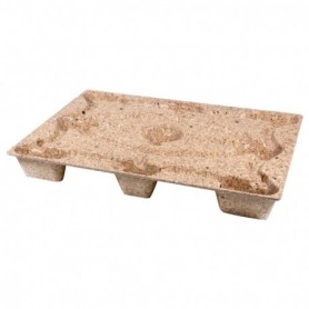 Palette bois moulée standard 800 x 1200 x 125mm
