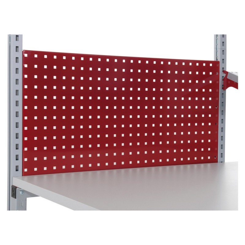 PAROI ARRIÈRE PERFORÉE 1000 X 30 X 100 mm