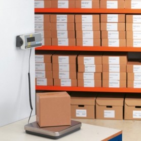 Balance industrielle avec plateau standard 315 x 305 x 65mm