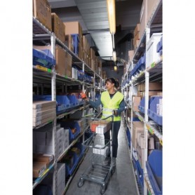 Chariot de préparation de commandes avec paniers 385 x 660 x 1090