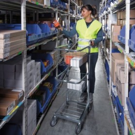 Chariot de préparation de commandes avec paniers 385 x 660 x 1090