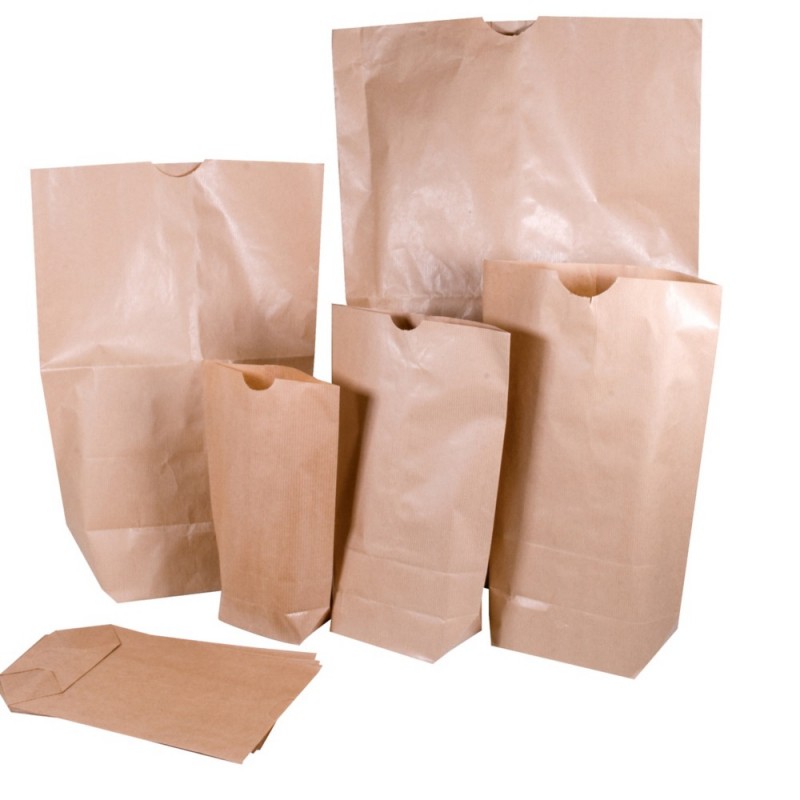 Sac kraft brun renforcé 2 feuilles à encoche RENFORCÉ 2 FEUILLES 25 x 38-5cm