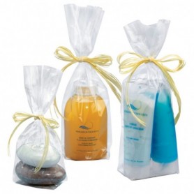 Sachet polypropylène neutre avec fond carton 10 x 22cm