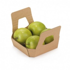 Barquette fruits et légumes BARQUETTE FRUITS