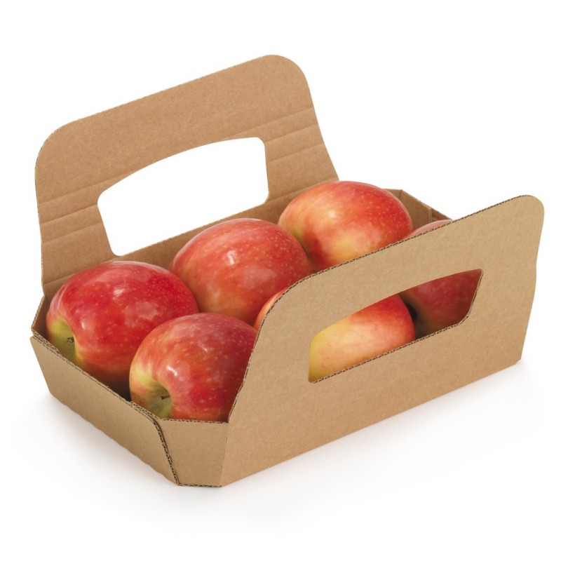 Barquette fruits et légumes BARQUETTE FRUITS