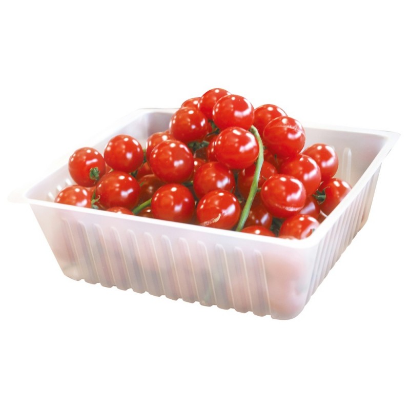 Barquette CAISSIPACK® FOND PLAT 500cc