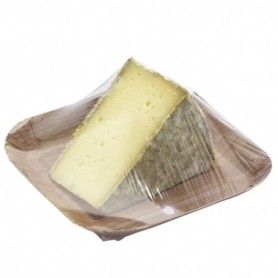 Barquette carton thermoformée mm