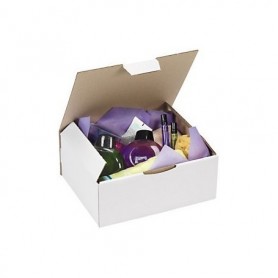 Boîtes postales Blanches 110x110x80 (mm)