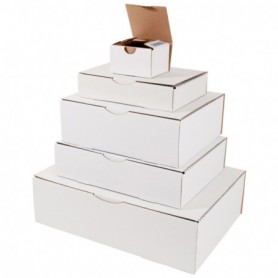 Boîtes postales Blanches 300x240x100 (mm)