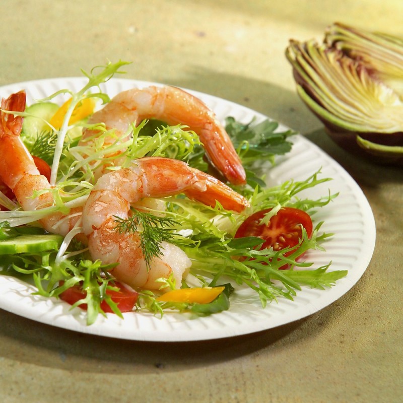 Assiette en carton RONDE 18cm