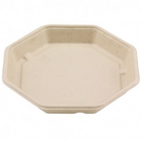 ASSIETTE OCTOGONALE écologique