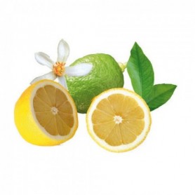 Film transparent impression CITRON