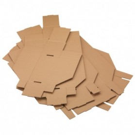 Bac à bec carton 300 x 50 x 110 mm